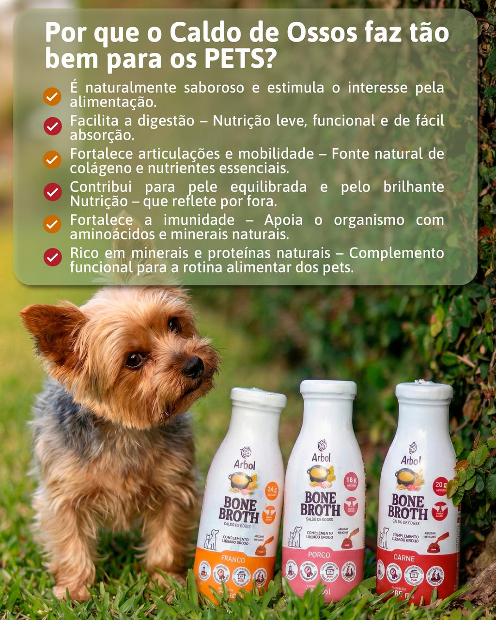 Caldo de Ossos Bone Broth