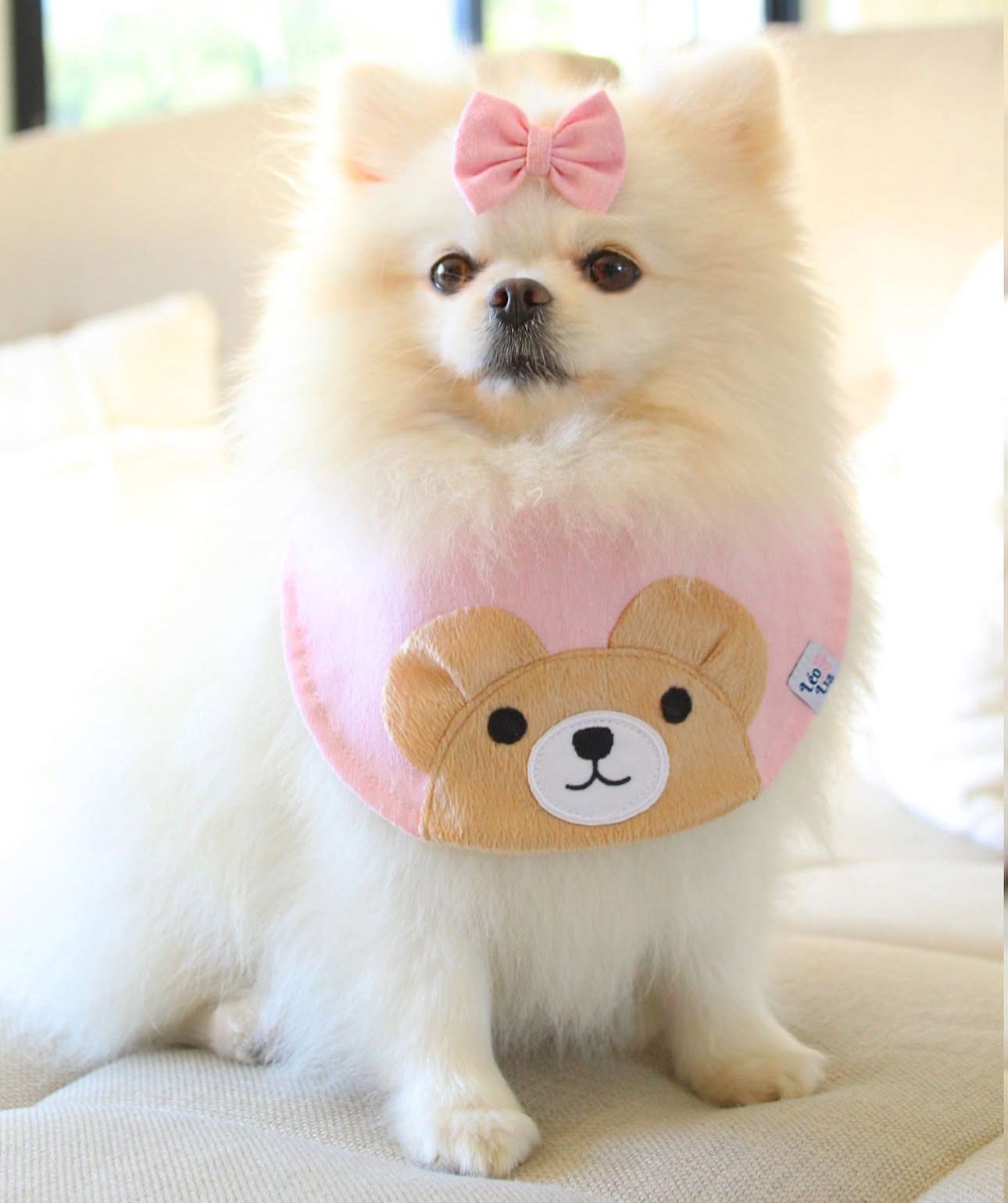 Bandana Luxo Ursinho Rosa