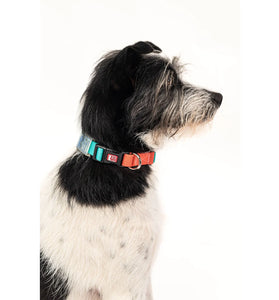 Coleira - Acqua/Coral/Denim