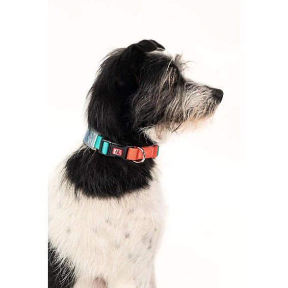 Coleira - Acqua/Coral/Denim