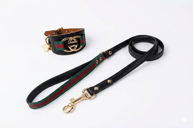 CONJ COLEIRA GALGO P