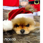 Gorro Pet Natal Malloo