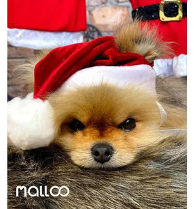 Gorro de Papai Noel da Malloo