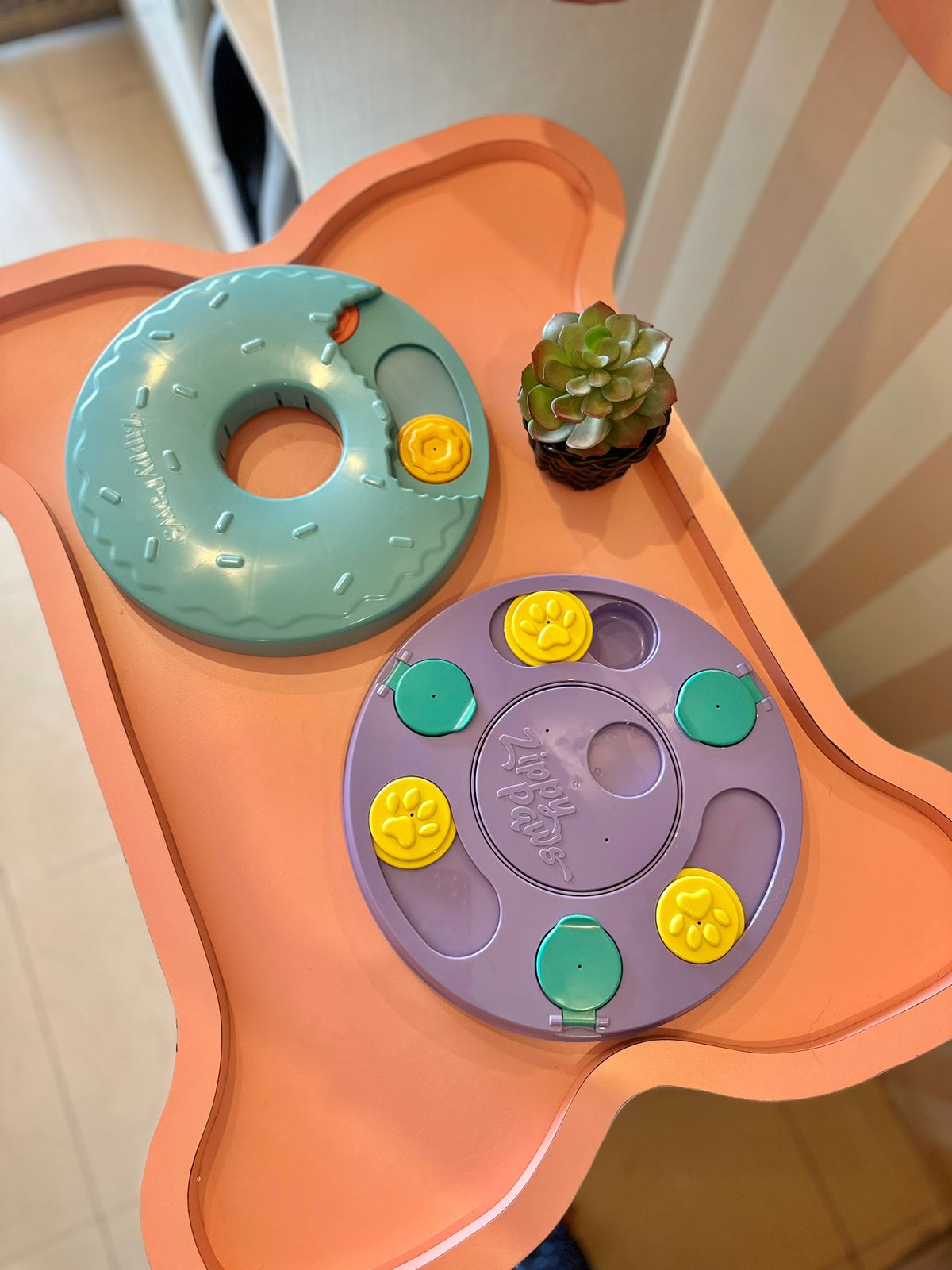 Smarty Paws Brinquedo