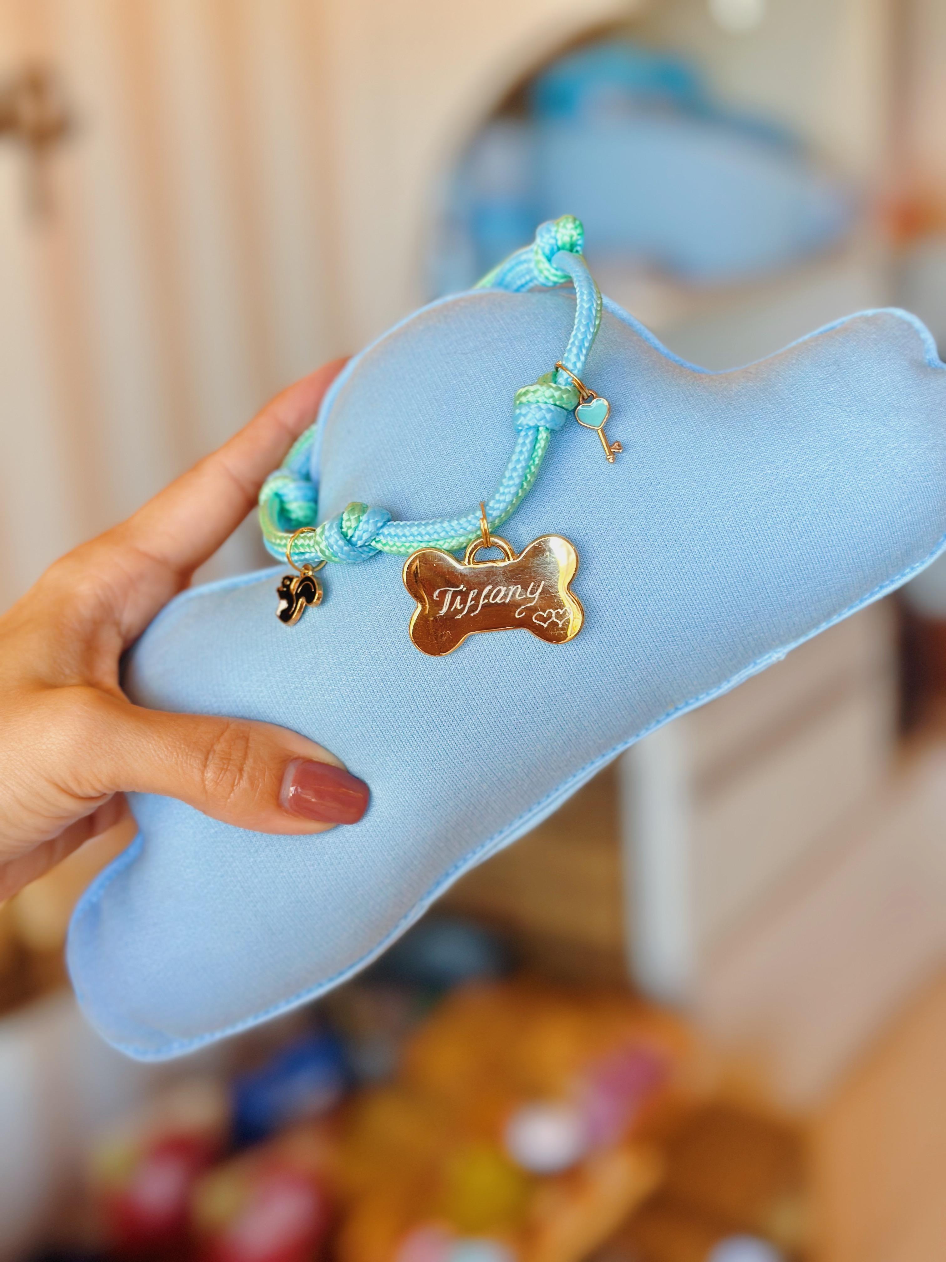 Coleira de Identificação Personalizada – Ajustável Candy
