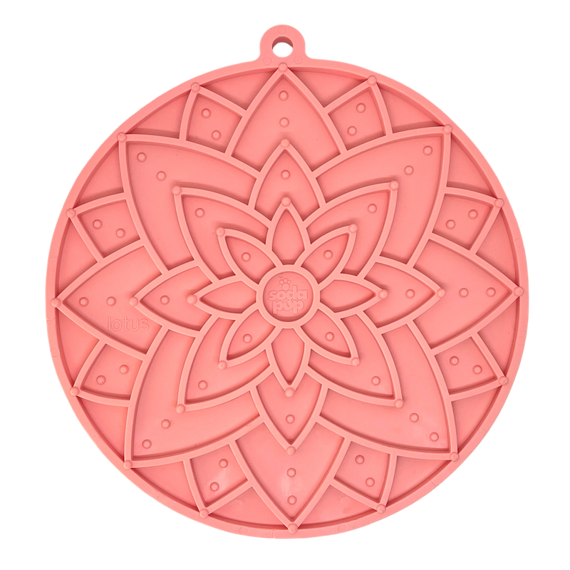 Comedouro Lento (Lambe)