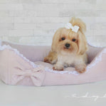 Cama Veludo Paris P