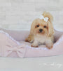 Cama Veludo Paris P