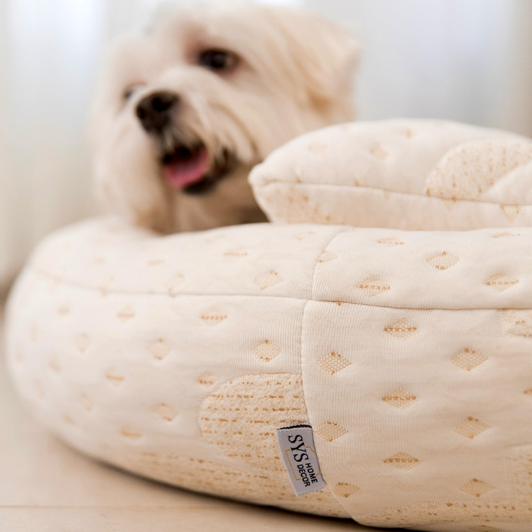 CAMA PET SYS COMFORT