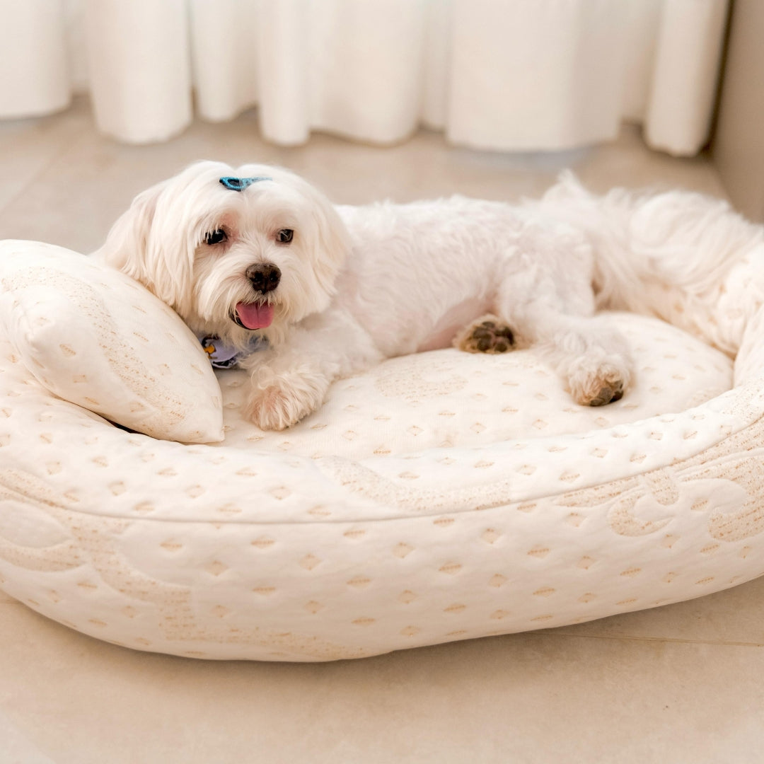 CAMA PET SYS COMFORT