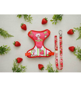 Peitoral e Guia  Mesh Moranguinho Classic