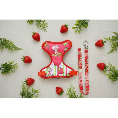 Peitoral e Guia  Mesh Moranguinho Classic