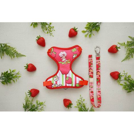 Peitoral e Guia  Mesh Moranguinho Classic