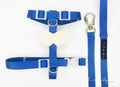 Peitoral H Anjinho Azul