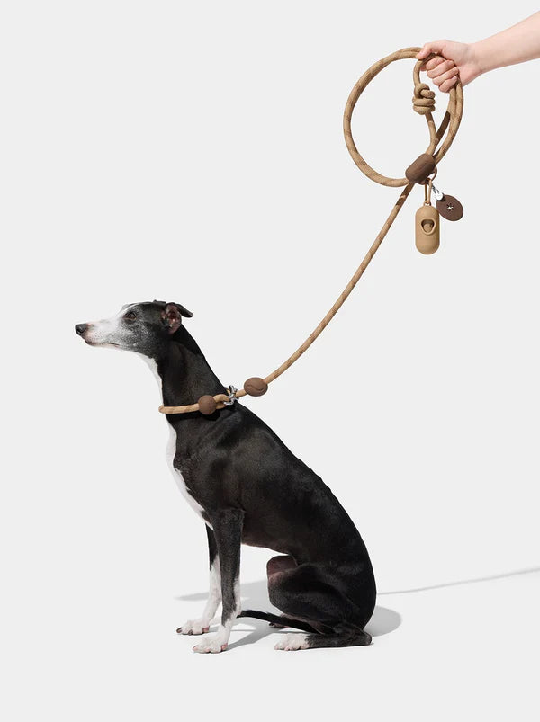 VETRESKA Connect - Rope Leash for Pets