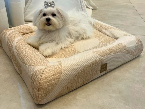 Cama Pet Viscoelástico