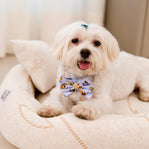 CAMA PET SYS COMFORT