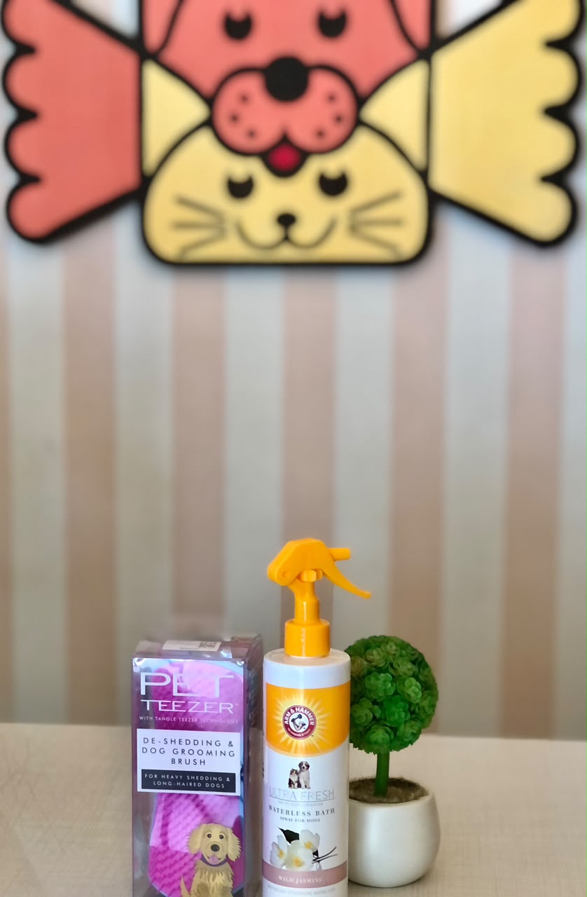 Kit Escova Pet Teezer + Banho a Seco Arm & Hammer