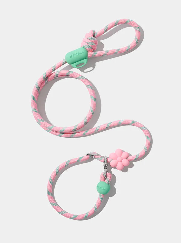 VETRESKA Connect - Rope Leash for Pets