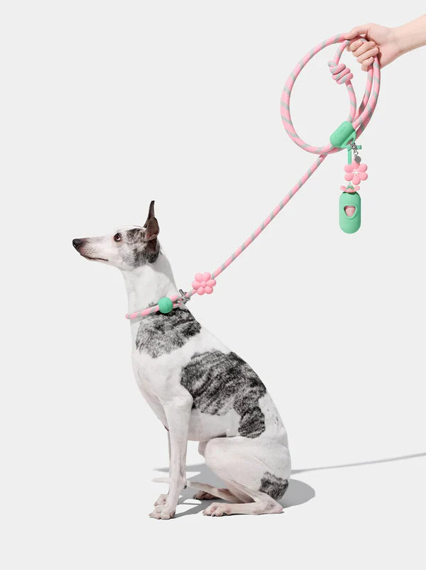 VETRESKA Connect - Rope Leash for Pets