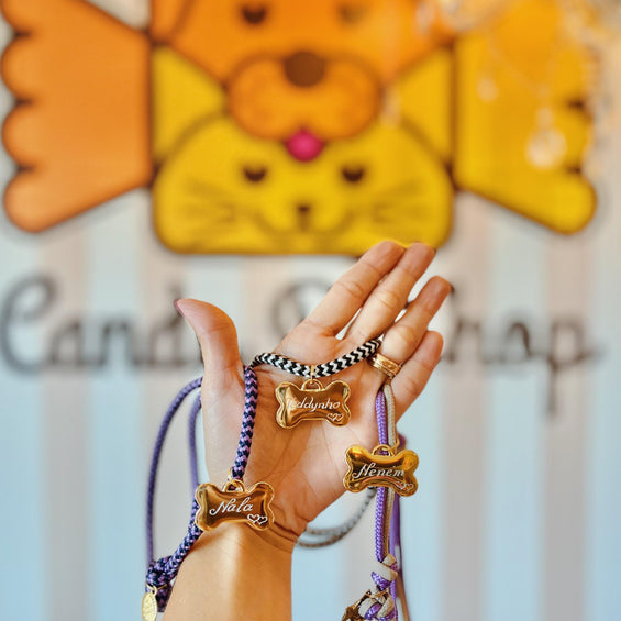 Coleira de Identificação Personalizada – Ajustável Candy