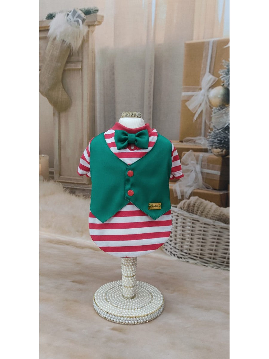 T-SHIRT ENCANTO COLETE VERDE ELFO