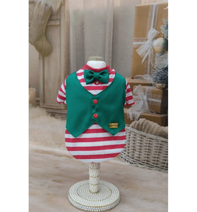 T-SHIRT ENCANTO COLETE VERDE ELFO