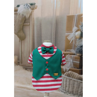 T-SHIRT ENCANTO COLETE VERDE ELFO