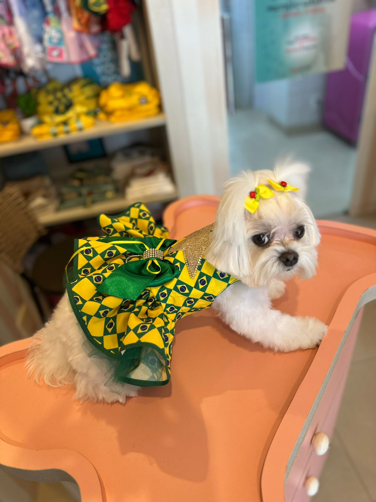 Vestido Luxo Brasil PP