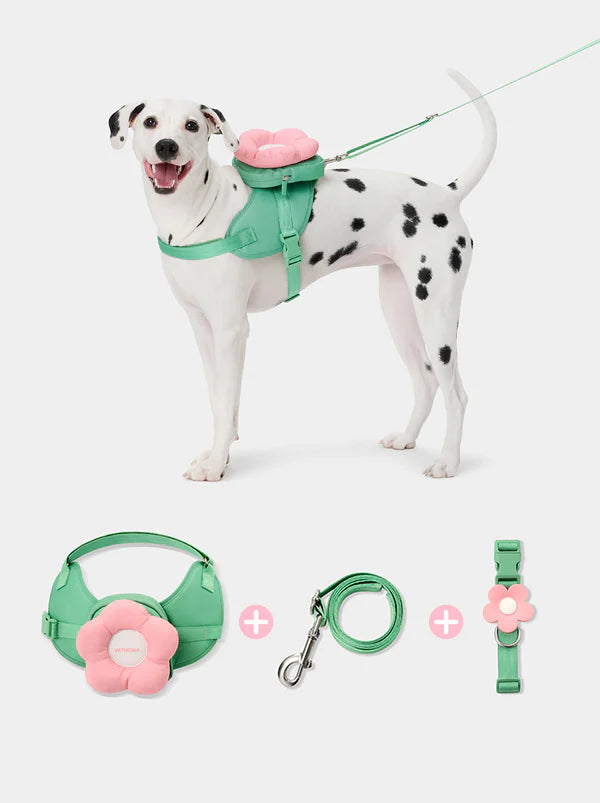 Vetreska-Conjunto Flora Pet com Mochila, Coleira e Guia 3 em 1