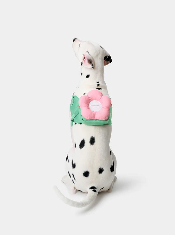 Vetreska-Conjunto Flora Pet com Mochila, Coleira e Guia 3 em 1