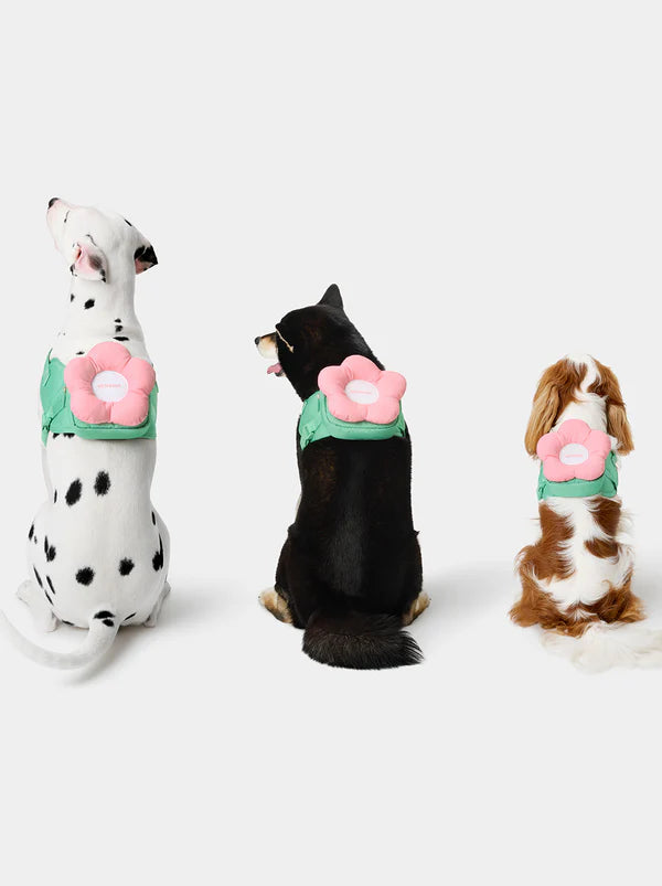 Vetreska-Conjunto Flora Pet com Mochila, Coleira e Guia 3 em 1