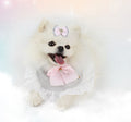 Bandana Luxo Realeza Rosa