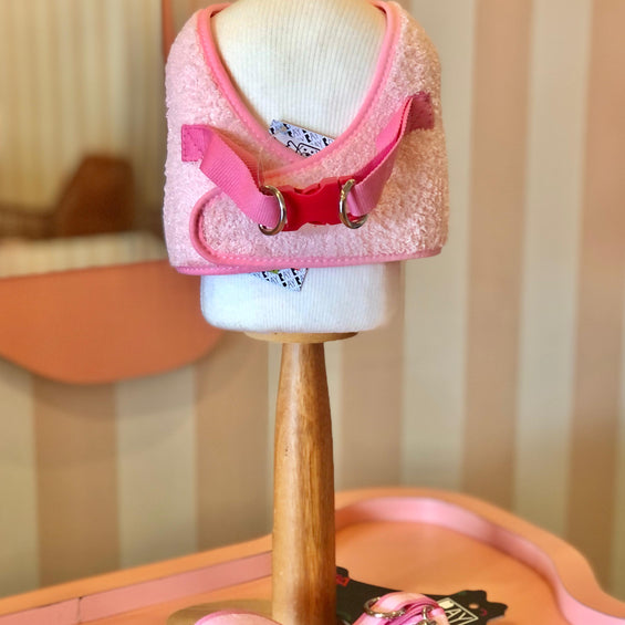 Peitoral Print + Guia - Teddy Rosa