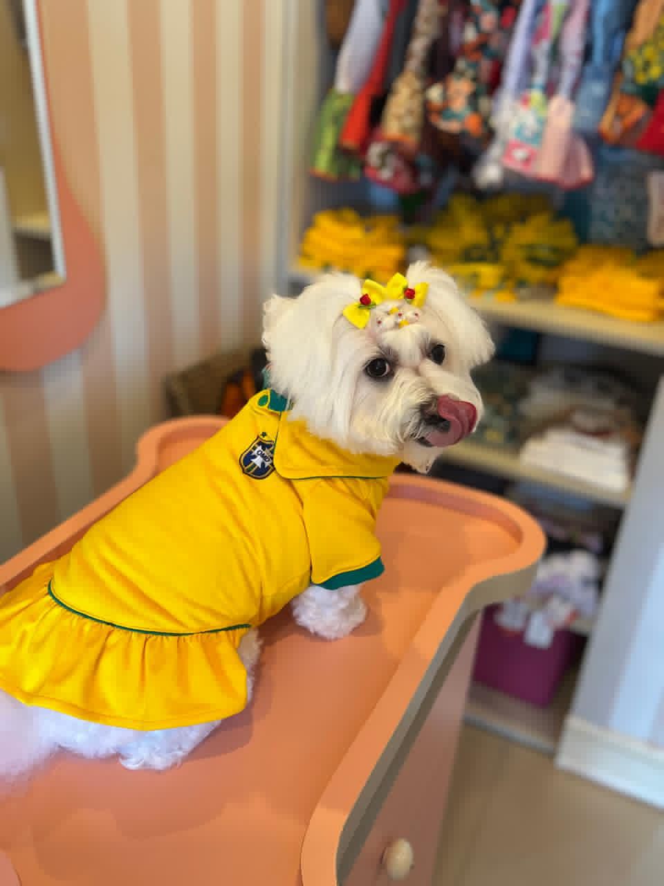Vestido Brasil