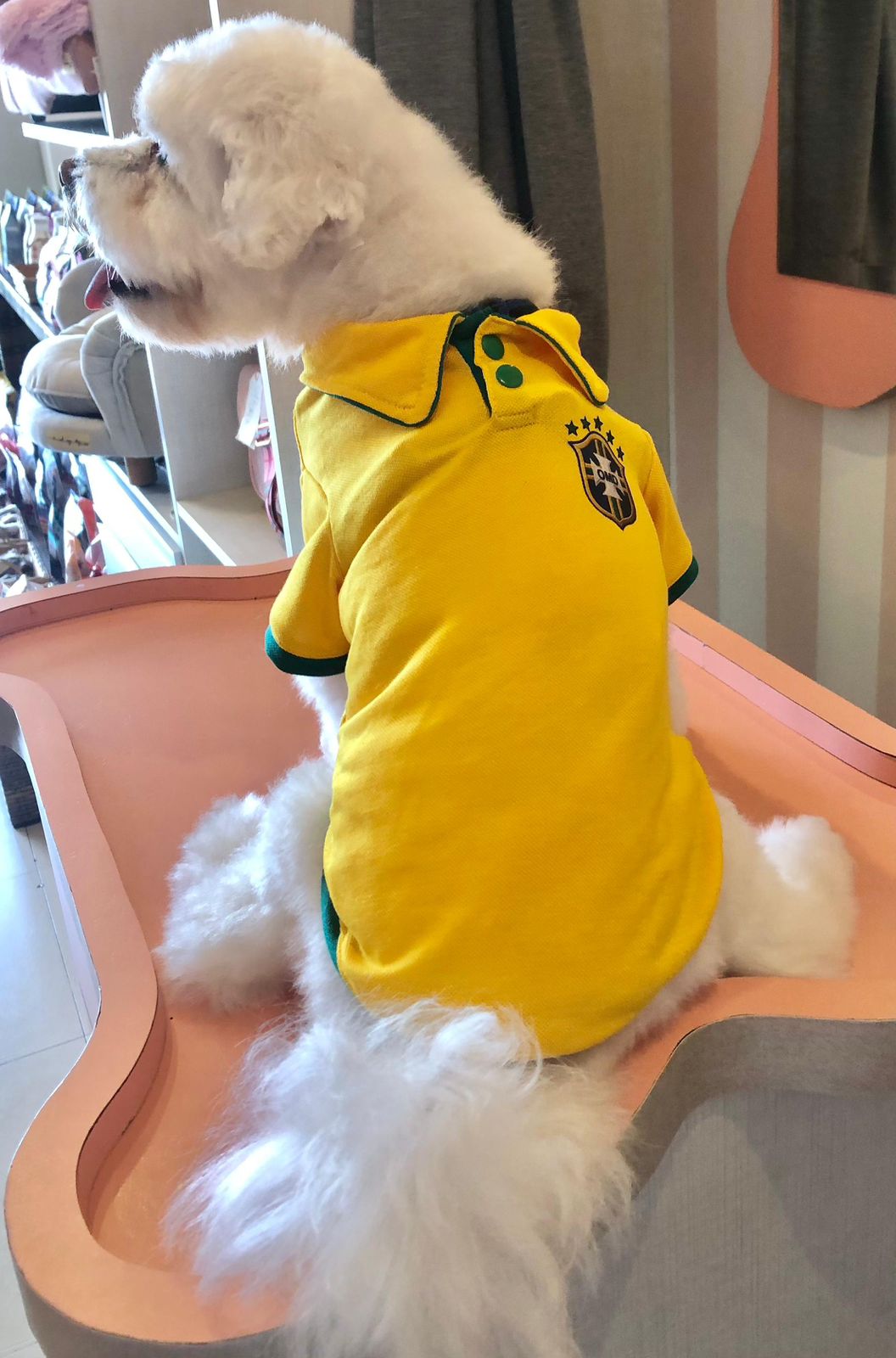 Blusa Brasil