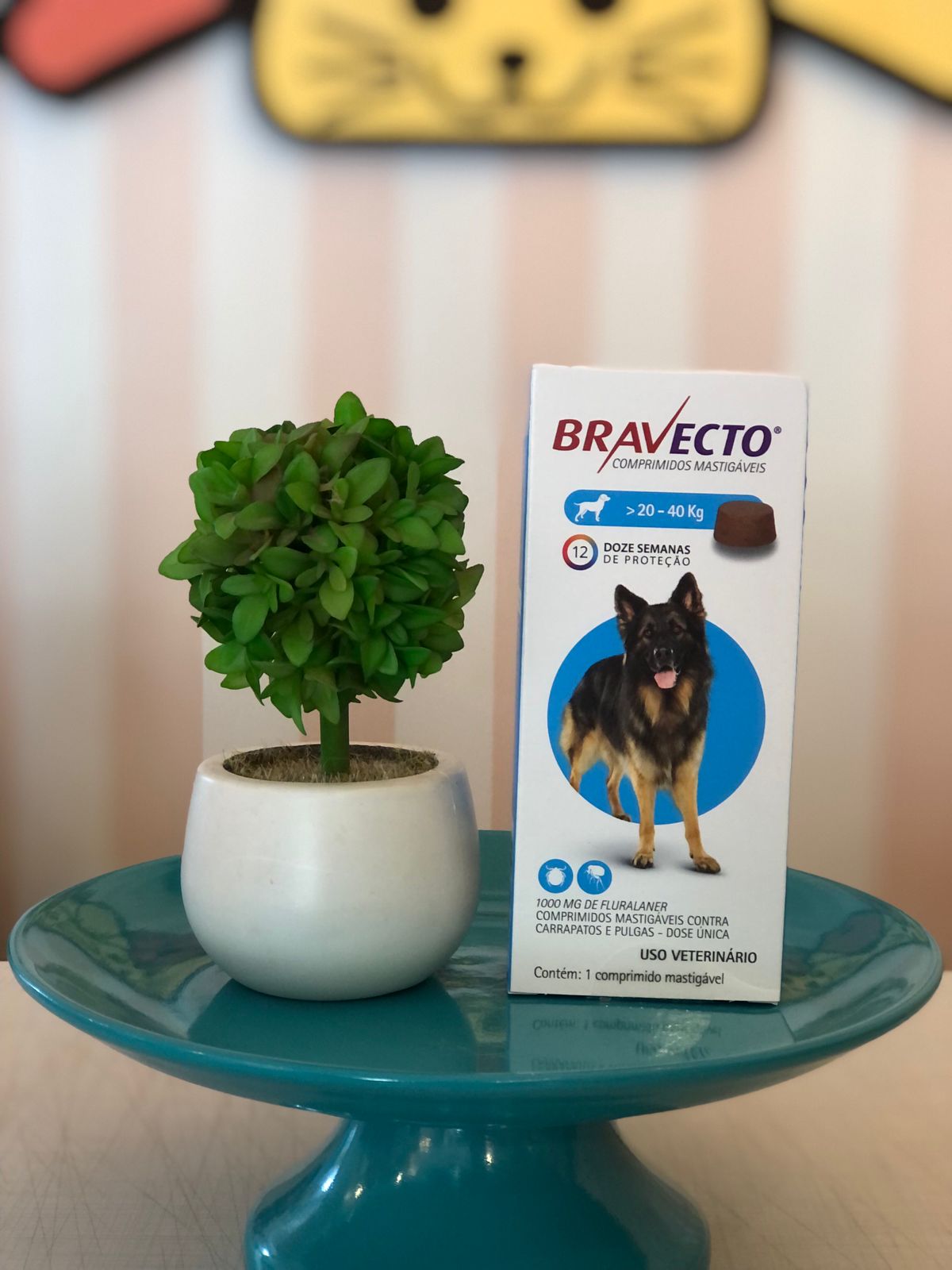 Bravecto